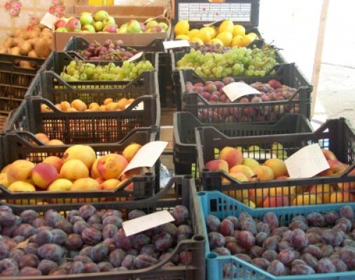 Bani pentru investiţii în ferme şi în depozite de legume şi fructe